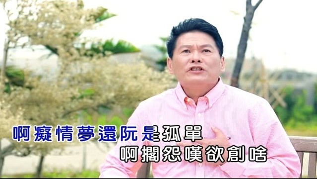 杨荣辉 - 无缘天注定 (KTV版)