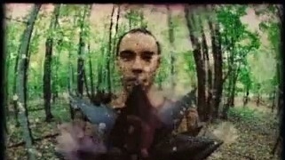 Dave Matthews - Crash Into Me