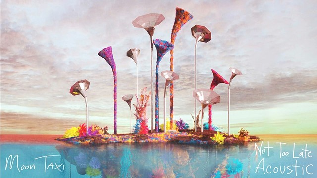 Moon Taxi - Not Too Late (Acoustic (Audio)) (音频版)