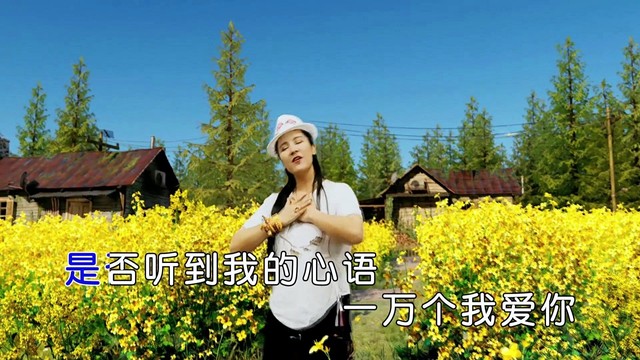 格桑英妮 - 一万个我爱你 (KTV版)