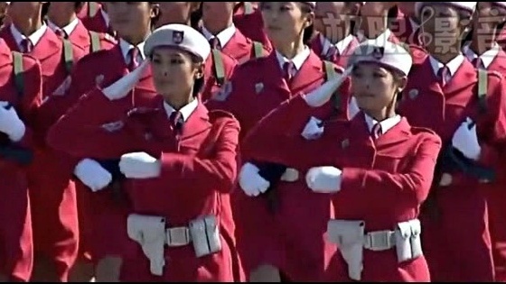 王秀芬 - 我心属于军旗 (KTV版)