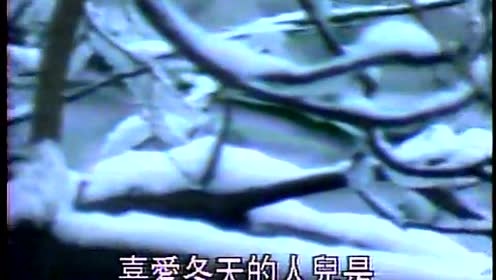 张继红 - 四季 (KTV版)