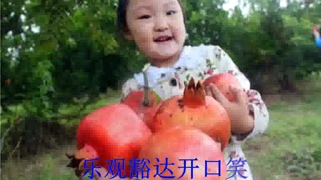 紫衣 - 石榴红 (KTV版)