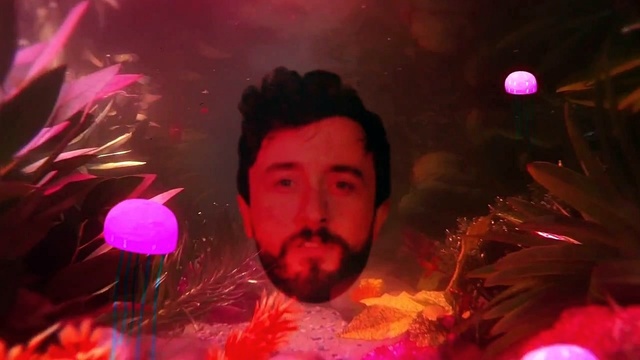 Jape - The Heart's Desire