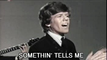 Herman's Hermits - I m into something good (KTV版)