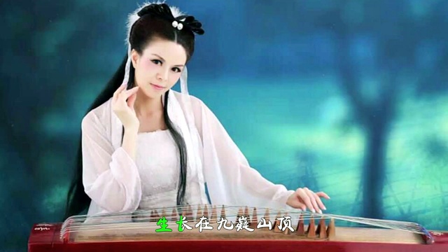 周舟 - 舜赐神茶 (KTV版)