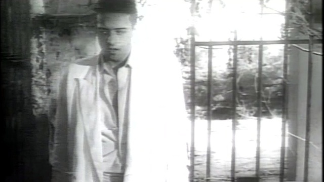 Diana Ross - Eaten Alive (Live)