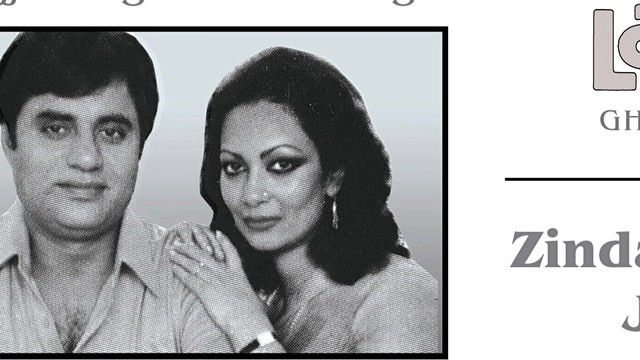 Chitra Singh - Zindagi Tujh Ko Jiya Hai (音频版)