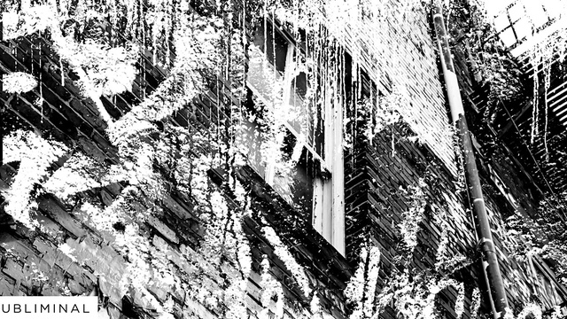 Harry Romero - Go Off (音频版)