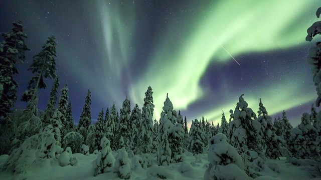 Mark Ermler - Swan Lake, Op. 20, Act I: No 4, Pas de trois: Andante Sostenuto (Audio) (音频版)