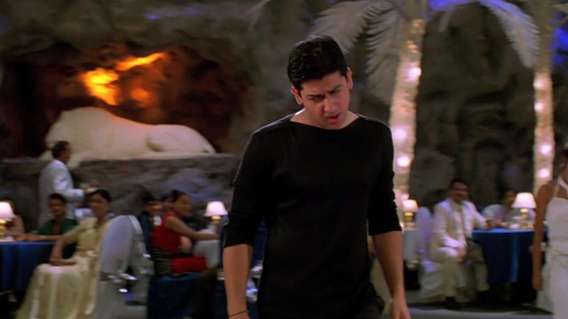 Udit Narayan - Deewana Tera Hai