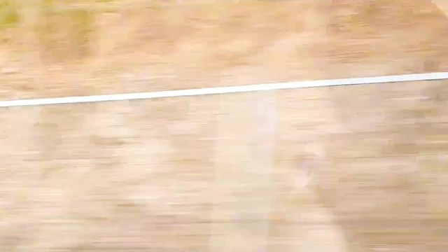 뮤진 - let's go picnic!