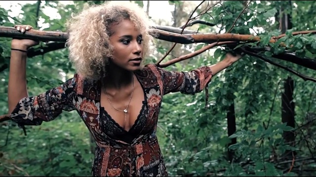 Paji - Sharks In The Woods