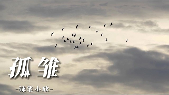 辣笔小欣 - 孤雏