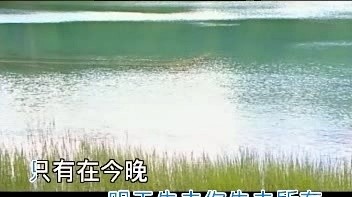达达乐队 - 午夜说再见 (KTV版)