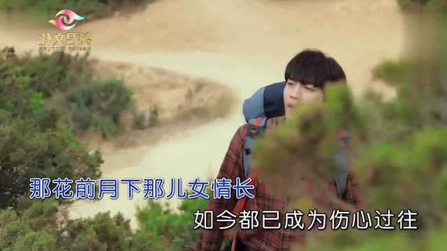 张清云 - 爱已随风飞扬