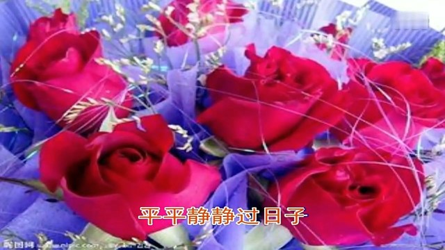 秦永 - 无情相思有情泪 (KTV版)