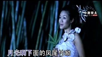 燕妮 - 月光下的凤尾竹 (KTV版)
