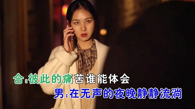 桃源恋歌 - 人人都有心酸的泪 (对唱版)