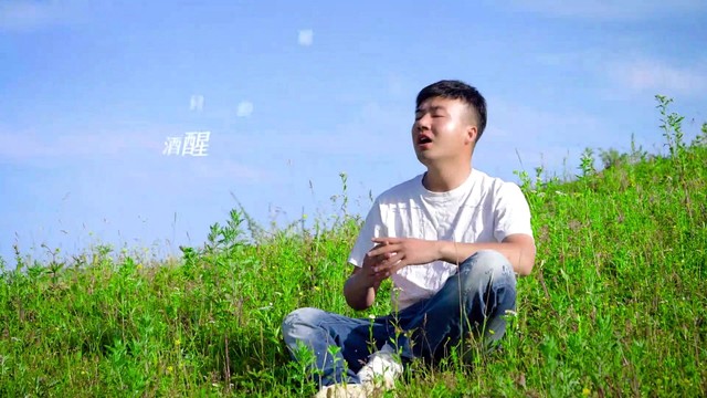 龙江辉 - 酒醒的蝴蝶