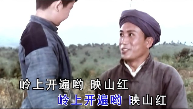 韩红 - 映山红 (KTV版)