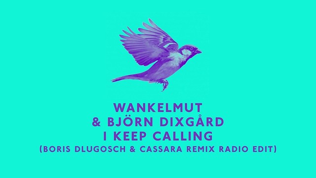 Wankelmut - I Keep Calling (Boris Dlugosch & Cassara Remix Radio Edit) (Pseudo Video) (Remix)