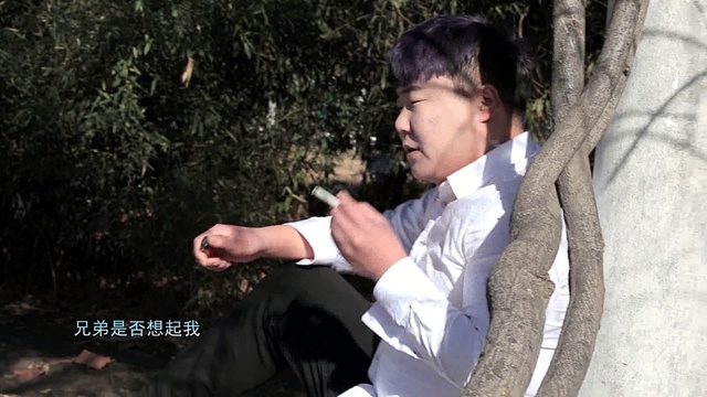 李辉 - 兄弟记得我