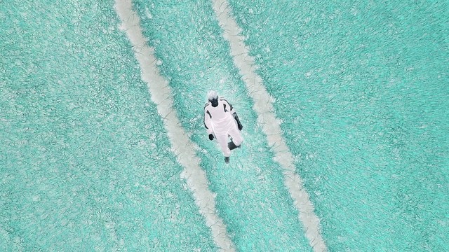 Dylan Fraser - Face Tattoo