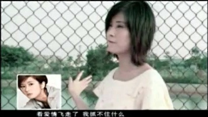 林苑 - 爱情飞走了