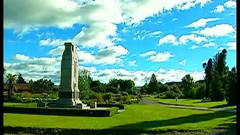 程琳 - 丁香树 (KTV版)