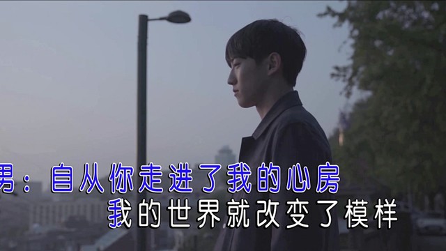金艾娜 - 爱你就像爱月亮 (KTV版)