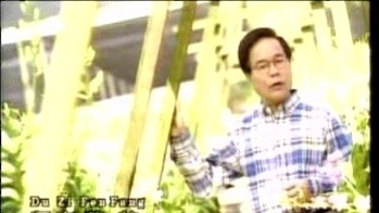 黄清元 - 苦情花 (KTV版)