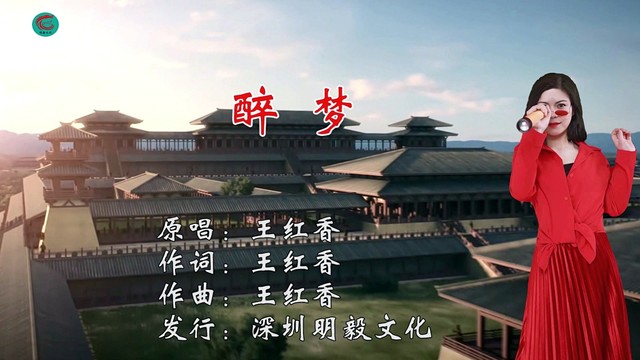 王红香 - 醉梦 (KTV版)