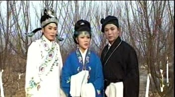 刘玛林 - 【庐剧】二度梅 1/4