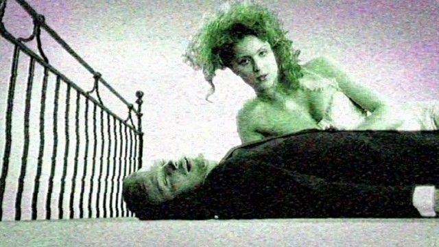 Kim Herold - Social Butterfly