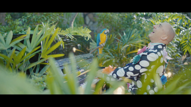 Rocco De Villiers - Kortbroek, Langkouse