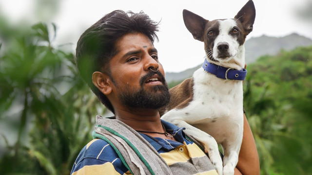 Ajesh - Appavin Thaalaatu (Lyric Video)