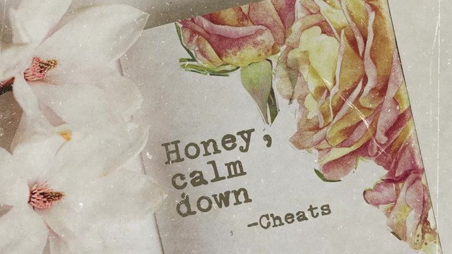 Cheats - Honey Calm Down (Lyric Video)