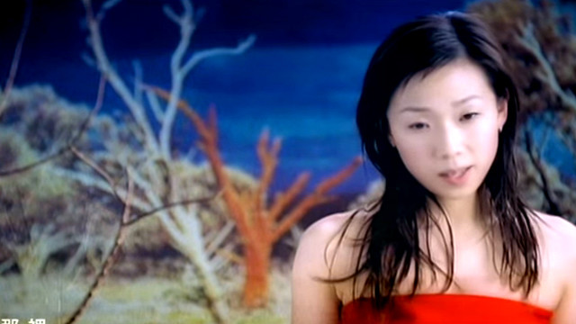 林忆莲 - 至少还有你