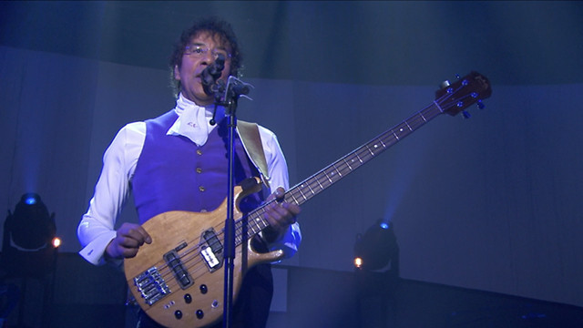 Laurent Voulzy - Oiseau malin (Live au Zénith de Paris 2015) (Live)