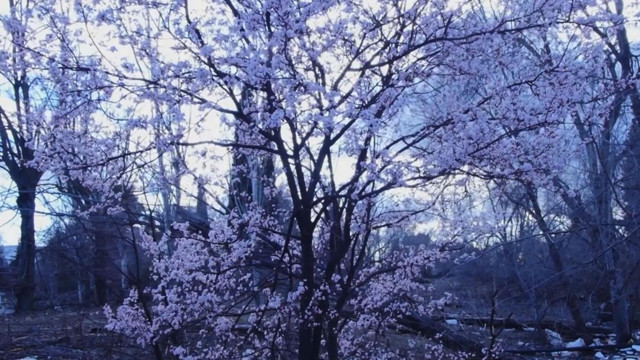 Darmo - Mientras quede una razon