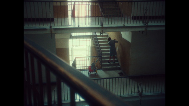 Tommaso Paradiso - Goditela (Official Visual Video)