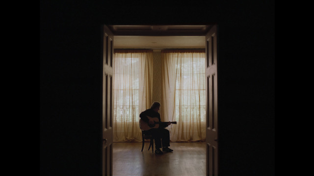 Lewis Capaldi - Survive