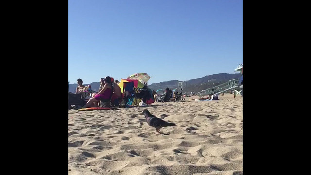 Mickael Karkousse - Just One Day