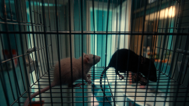 Olly - Per due come noi (Visual Video)