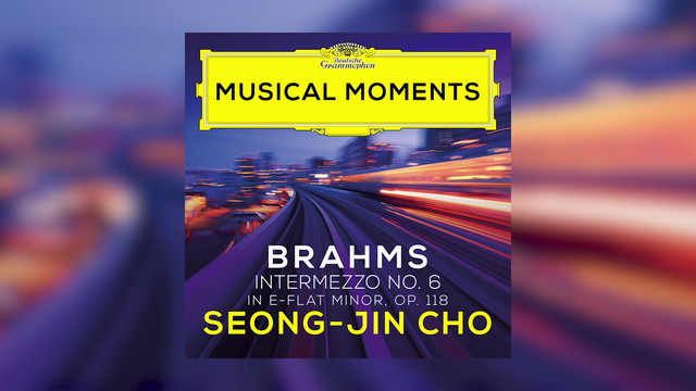 赵成珍 - Brahms: 6 Pieces for Piano, Op. 118 - VI. Intermezzo in E Flat Minor. Andante, largo e mesto (音频版)