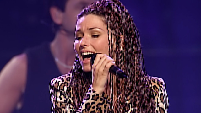 Shania Twain - Don't Be Stupid(You Know I Love You) (Live In Dallas / 1998)