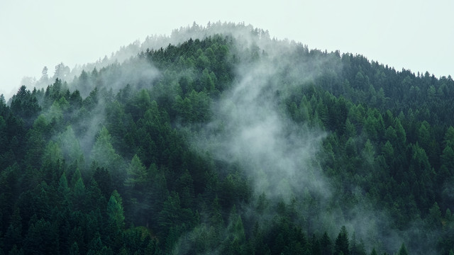 Val Gardena - Pre De Vi N°2 (Rain)