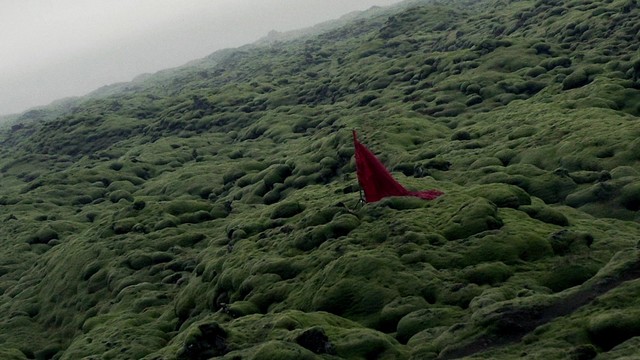 Junge Junge - Wicked Hearts