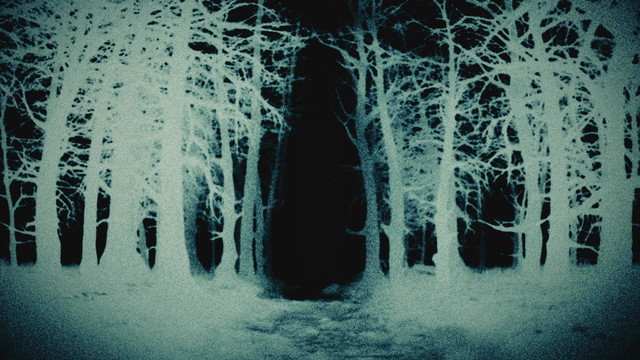 FLØRE - WEREWOLF (Lyric Video)